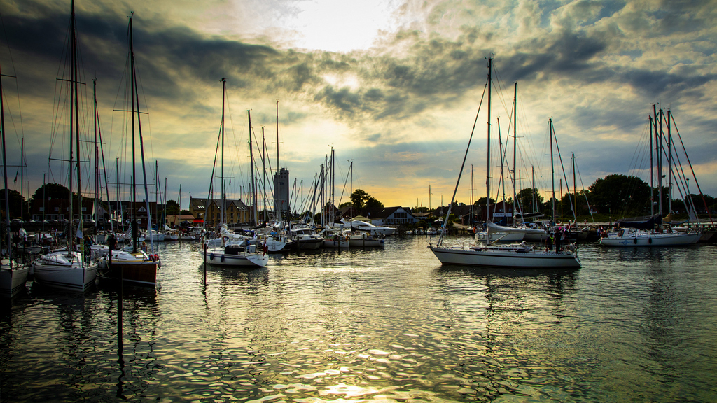 Fish fever and tackle-making on Samsø