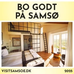 Sider fra Bo godt 2025.pdf