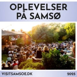 Sider fra Oplevelser 2025.pdf