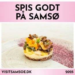 Sider fra Spis godt 2025 DK.pdf