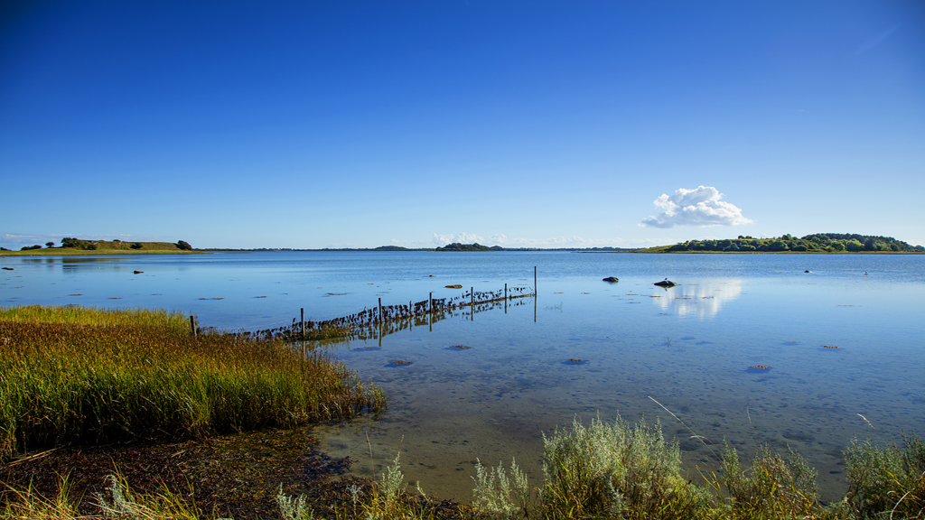 Stavns Fjord