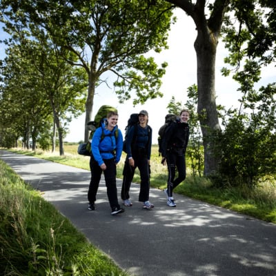 Nordby_Strand_Shelter_Feriemagasin_2024_Fotograf_Jeanette_ Philipsen_VisitSamsø_0007