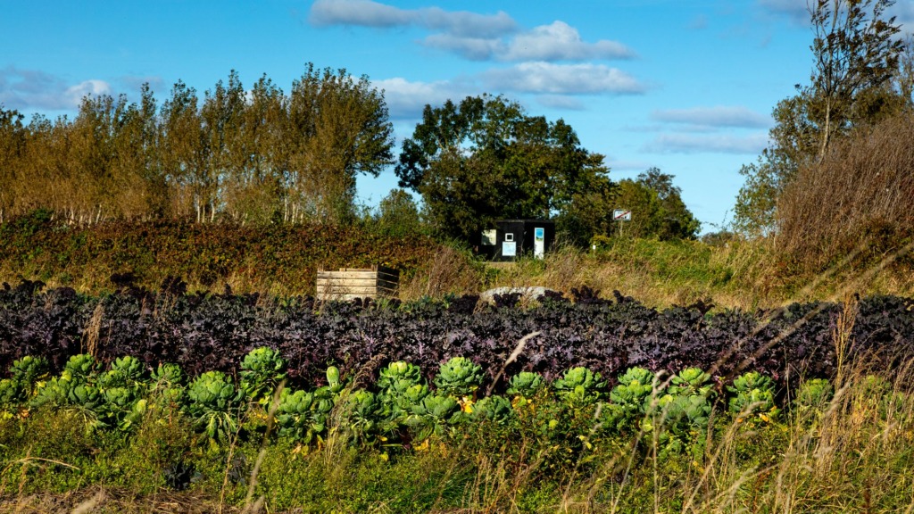 Alstrup_Fotograf_Jeanette_Phillipsen_VisitSamsø079