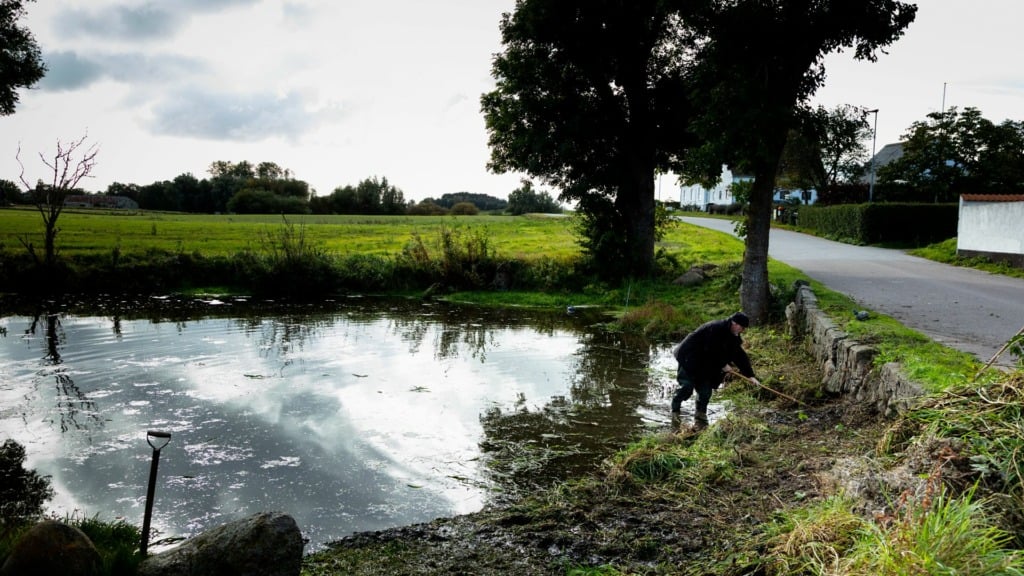 Tanderup_Fotograf_Jeanette_Phillipsen_VisitSamsø010